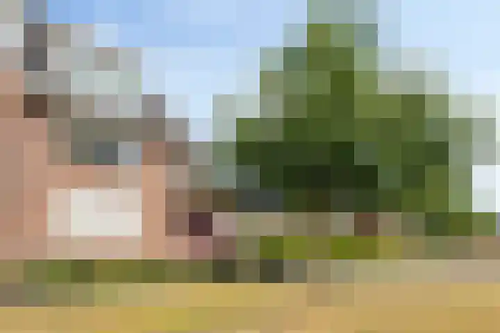 Het Nuesink 12 Eefde thumbnail 33