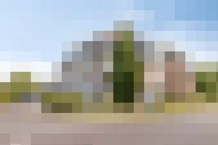 Het Nuesink 12 Eefde thumbnail 34