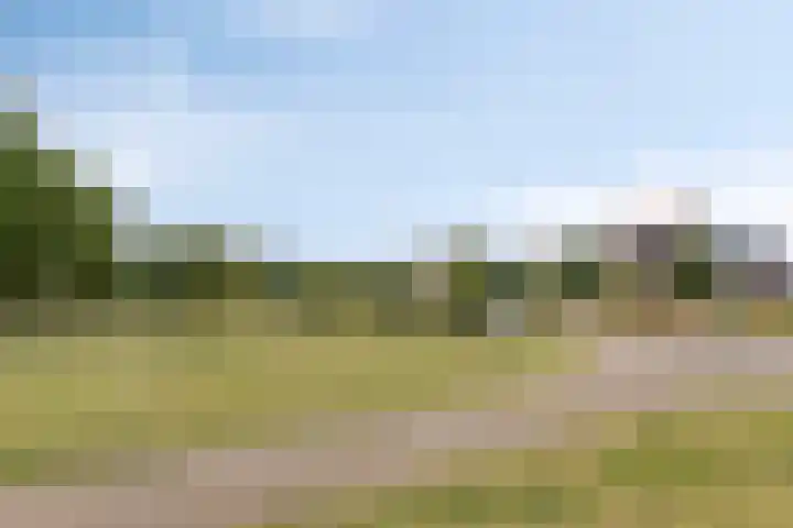 Het Nuesink 12 Eefde thumbnail 38