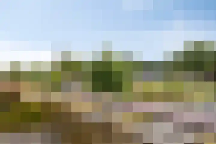 Het Nuesink 12 Eefde thumbnail 5
