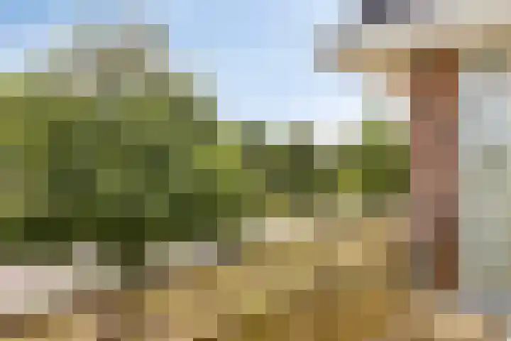 Het Nuesink 12 Eefde thumbnail 6