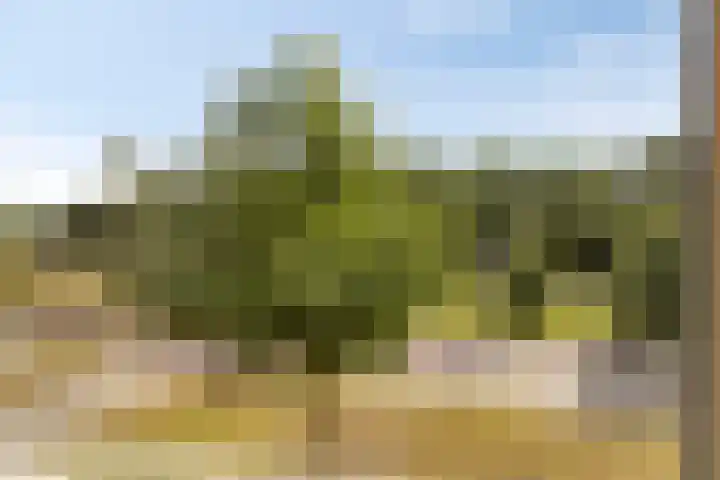 Het Nuesink 12 Eefde thumbnail 7