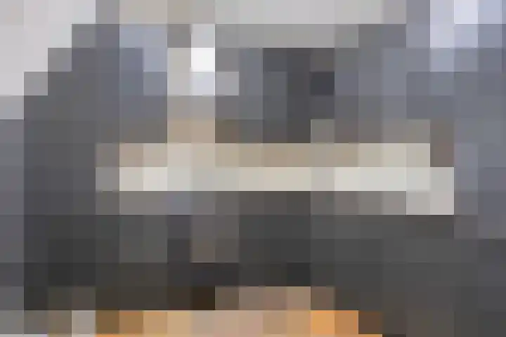 Het Nuesink 21 Eefde thumbnail 16