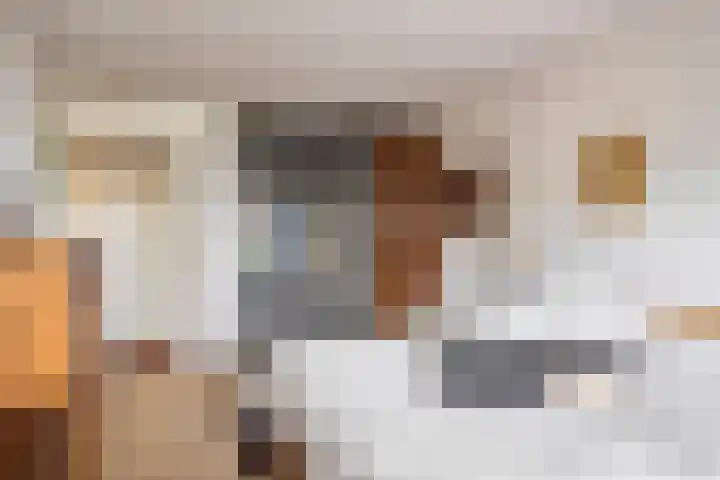 Het Nuesink 21 Eefde thumbnail 19