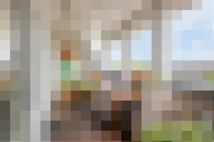 Het Nuesink 21 Eefde foto 2