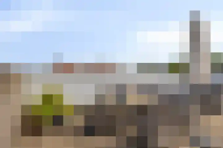 Het Nuesink 21 Eefde thumbnail 29