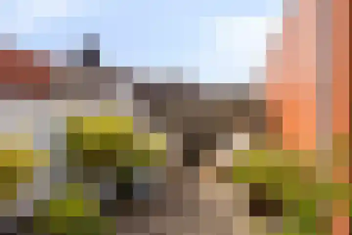 Het Nuesink 21 Eefde thumbnail 31