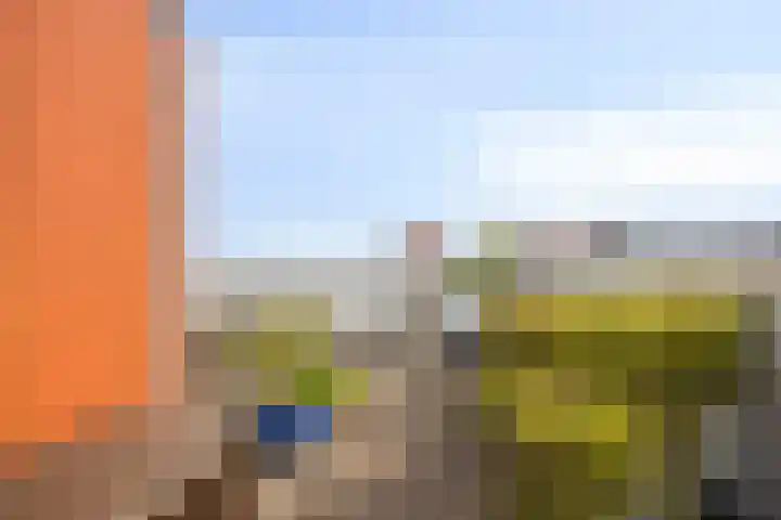 Het Nuesink 21 Eefde thumbnail 32