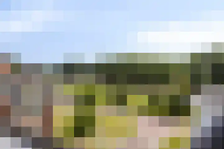 Het Nuesink 21 Eefde thumbnail 33