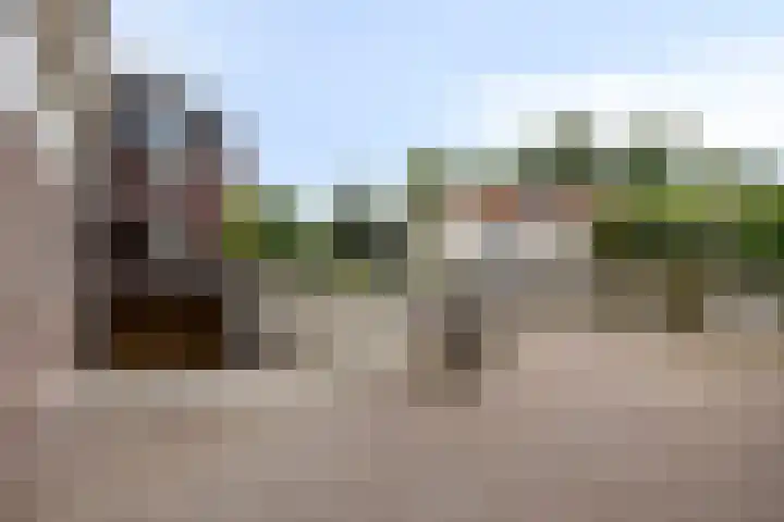 Het Nuesink 21 Eefde thumbnail 35