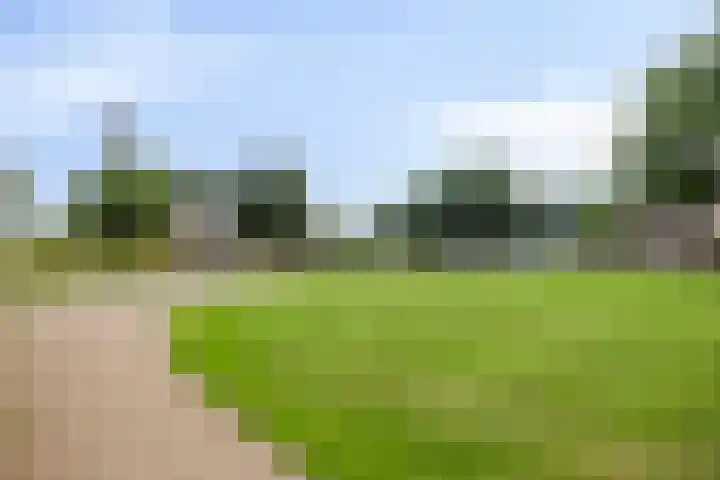 Het Nuesink 21 Eefde thumbnail 40