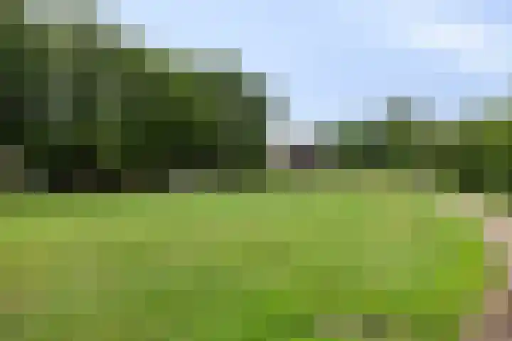 Het Nuesink 21 Eefde thumbnail 41