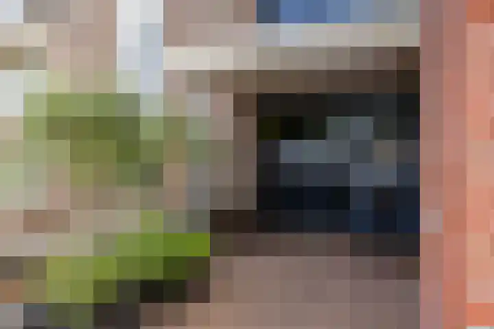 Het Nuesink 21 Eefde thumbnail 5