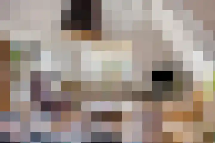 Het Nuesink 21 Eefde thumbnail 7