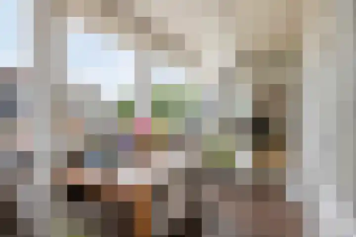 Het Nuesink 21 Eefde thumbnail 9