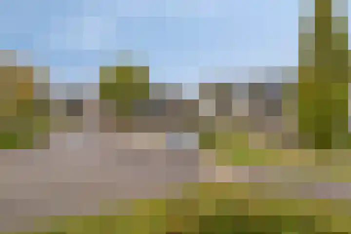 Het Nuesink 39 Eefde thumbnail 28