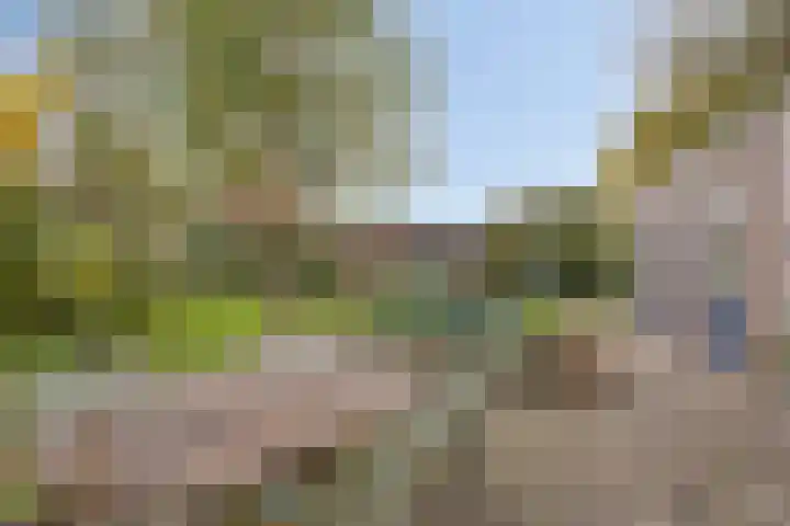 Het Nuesink 39 Eefde thumbnail 35