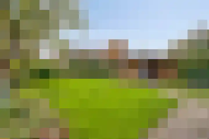 Het Nuesink 39 Eefde thumbnail 36