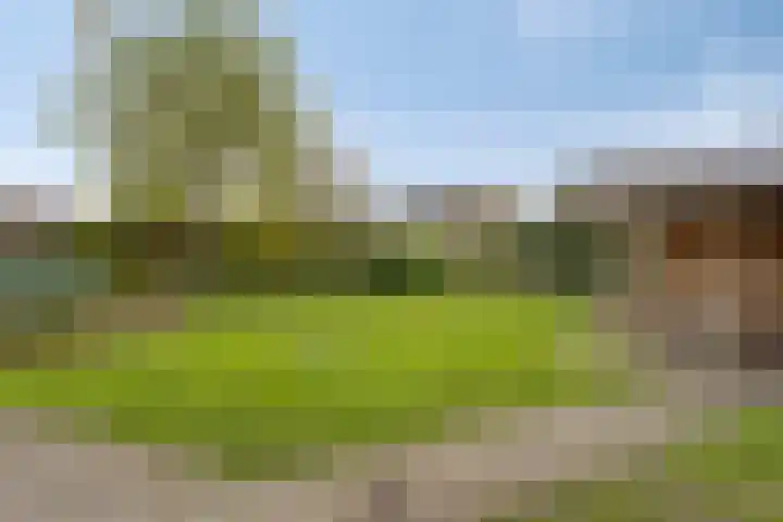 Het Nuesink 39 Eefde thumbnail 37