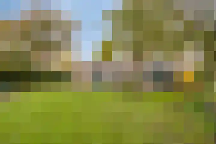Het Nuesink 39 Eefde thumbnail 39