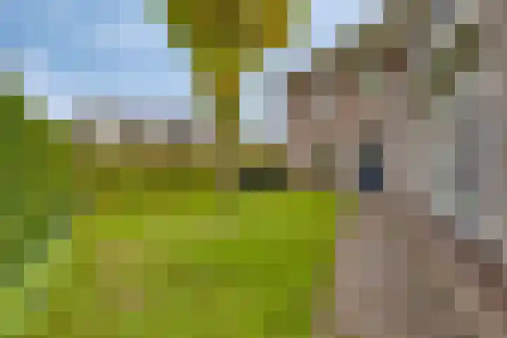 Het Nuesink 39 Eefde thumbnail 40