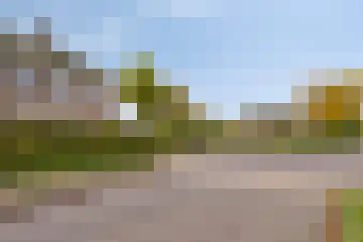 Het Nuesink 39 Eefde thumbnail 43