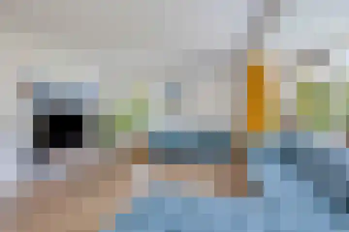 Het Nuesink 39 Eefde thumbnail 5