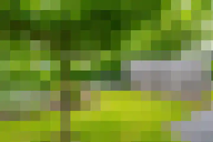 het Oelbred 3 Zuidlaren thumbnail 10