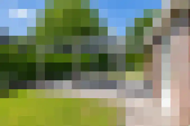 het Oelbred 3 Zuidlaren thumbnail 11