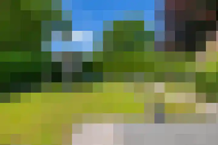 het Oelbred 3 Zuidlaren thumbnail 12