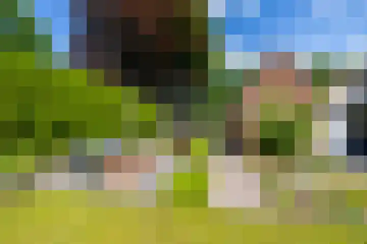 het Oelbred 3 Zuidlaren thumbnail 13