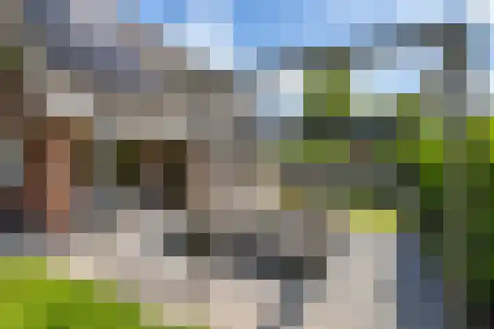 het Oelbred 3 Zuidlaren thumbnail 14