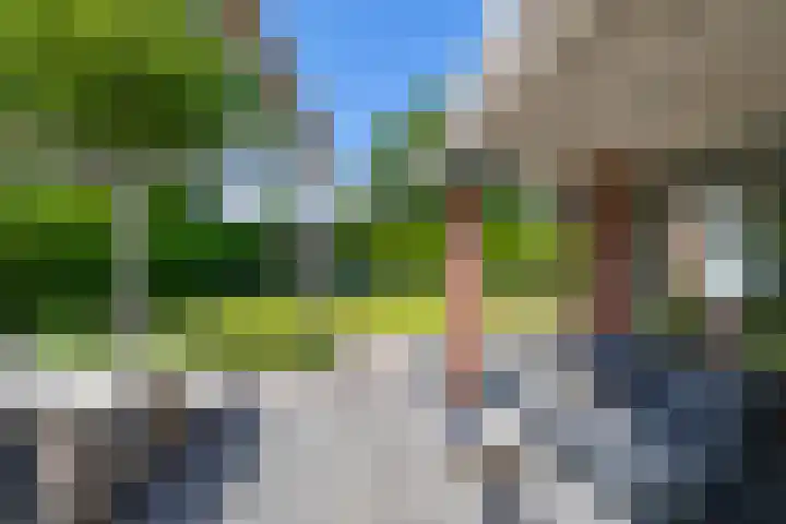 het Oelbred 3 Zuidlaren thumbnail 16