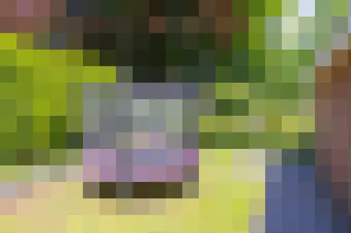 het Oelbred 3 Zuidlaren thumbnail 17