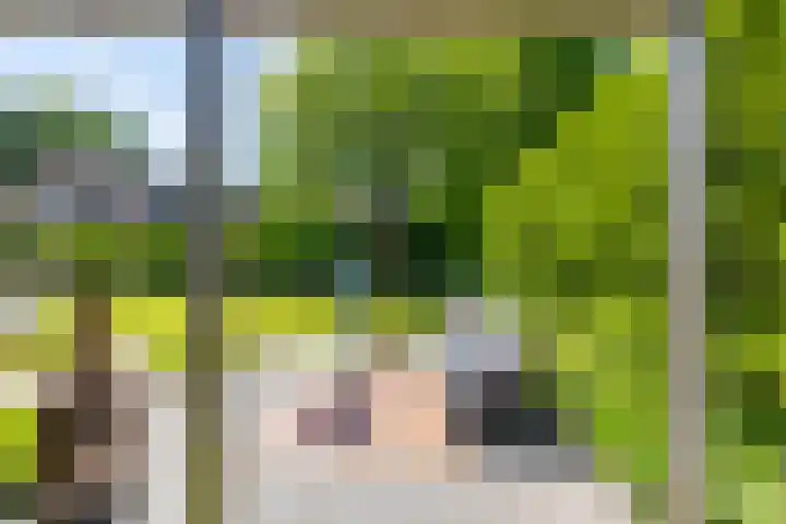 het Oelbred 3 Zuidlaren thumbnail 18