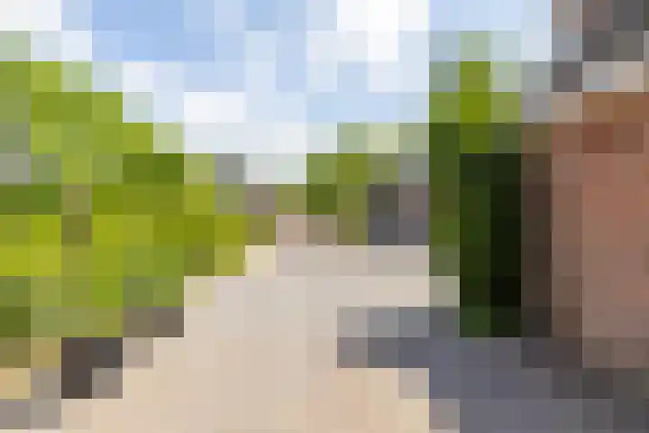 het Oelbred 3 Zuidlaren thumbnail 19