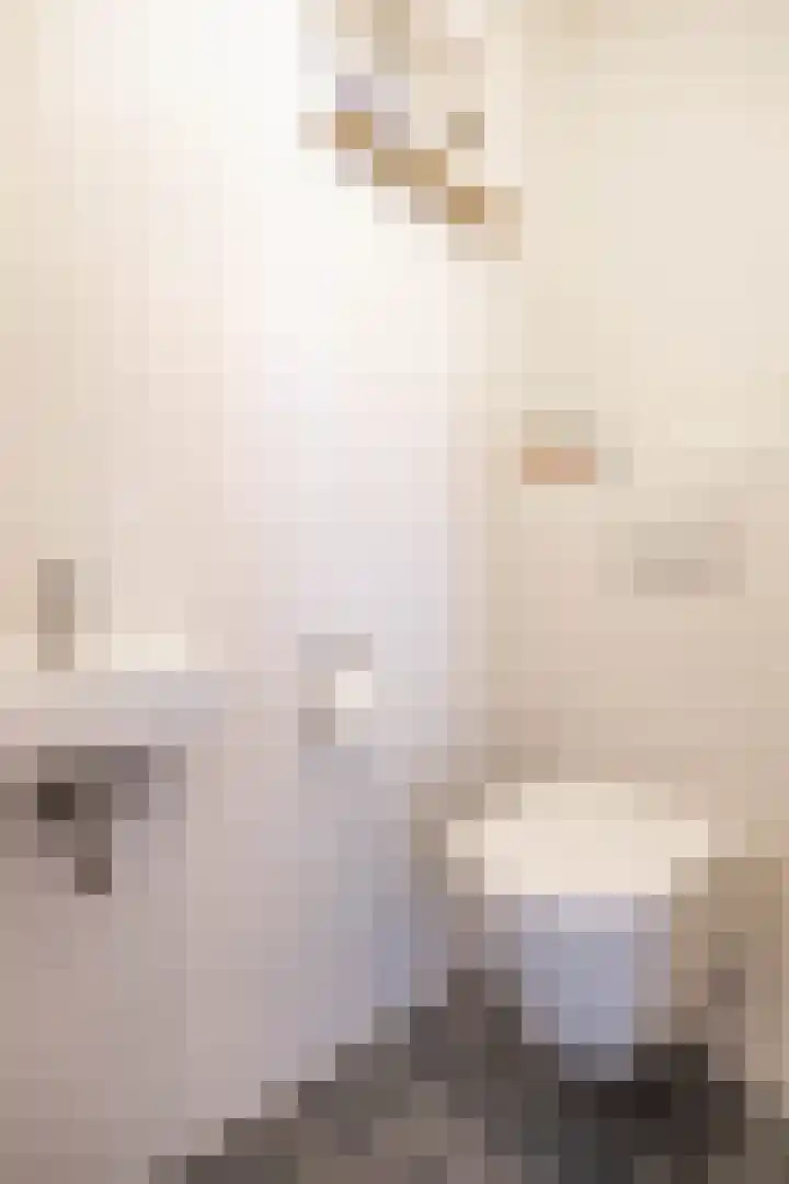 het Oelbred 3 Zuidlaren thumbnail 22