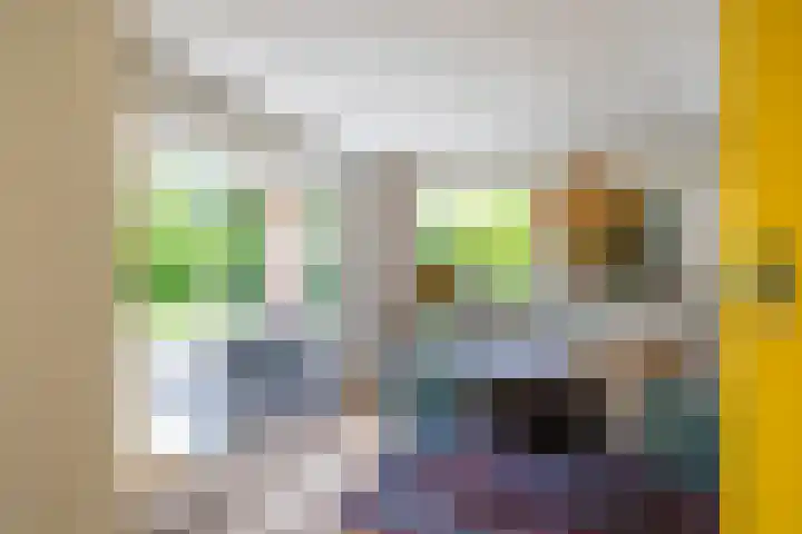 het Oelbred 3 Zuidlaren thumbnail 30