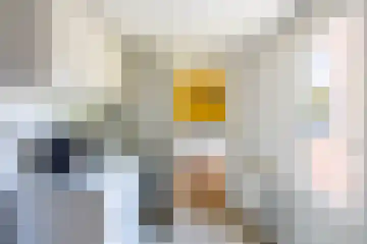 het Oelbred 3 Zuidlaren thumbnail 36
