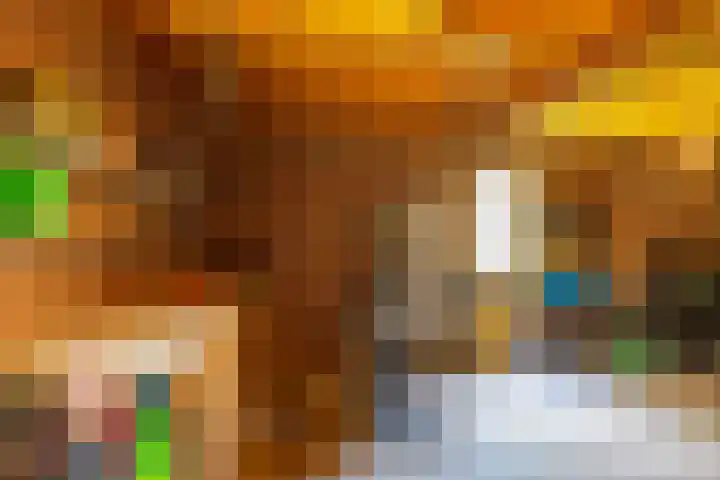 het Oelbred 3 Zuidlaren thumbnail 37