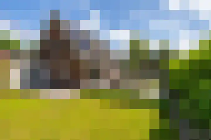 het Oelbred 3 Zuidlaren thumbnail 4