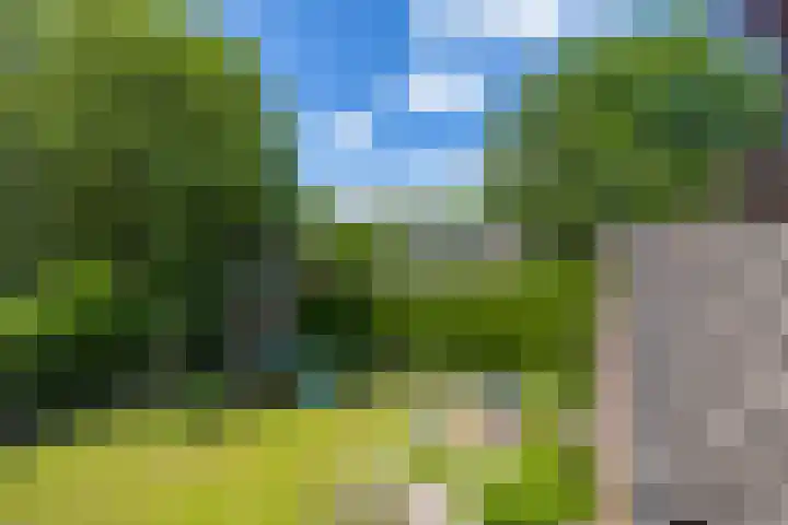 het Oelbred 3 Zuidlaren thumbnail 47