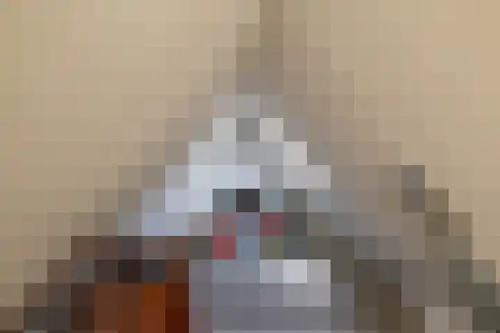 het Oelbred 3 Zuidlaren thumbnail 56