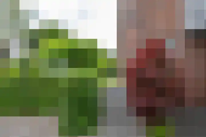 het Oelbred 3 Zuidlaren thumbnail 8