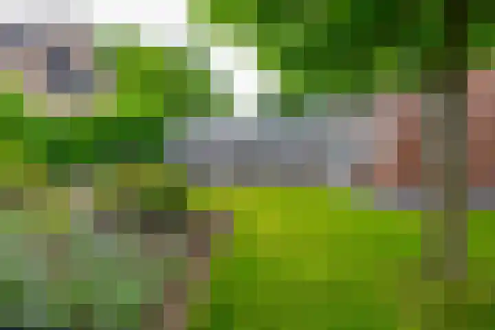 het Oelbred 3 Zuidlaren thumbnail 9