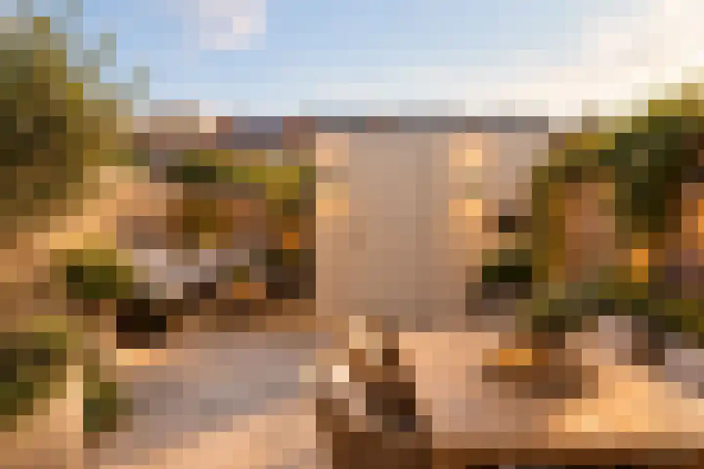 Het Oerd 107 Hoofddorp thumbnail 36