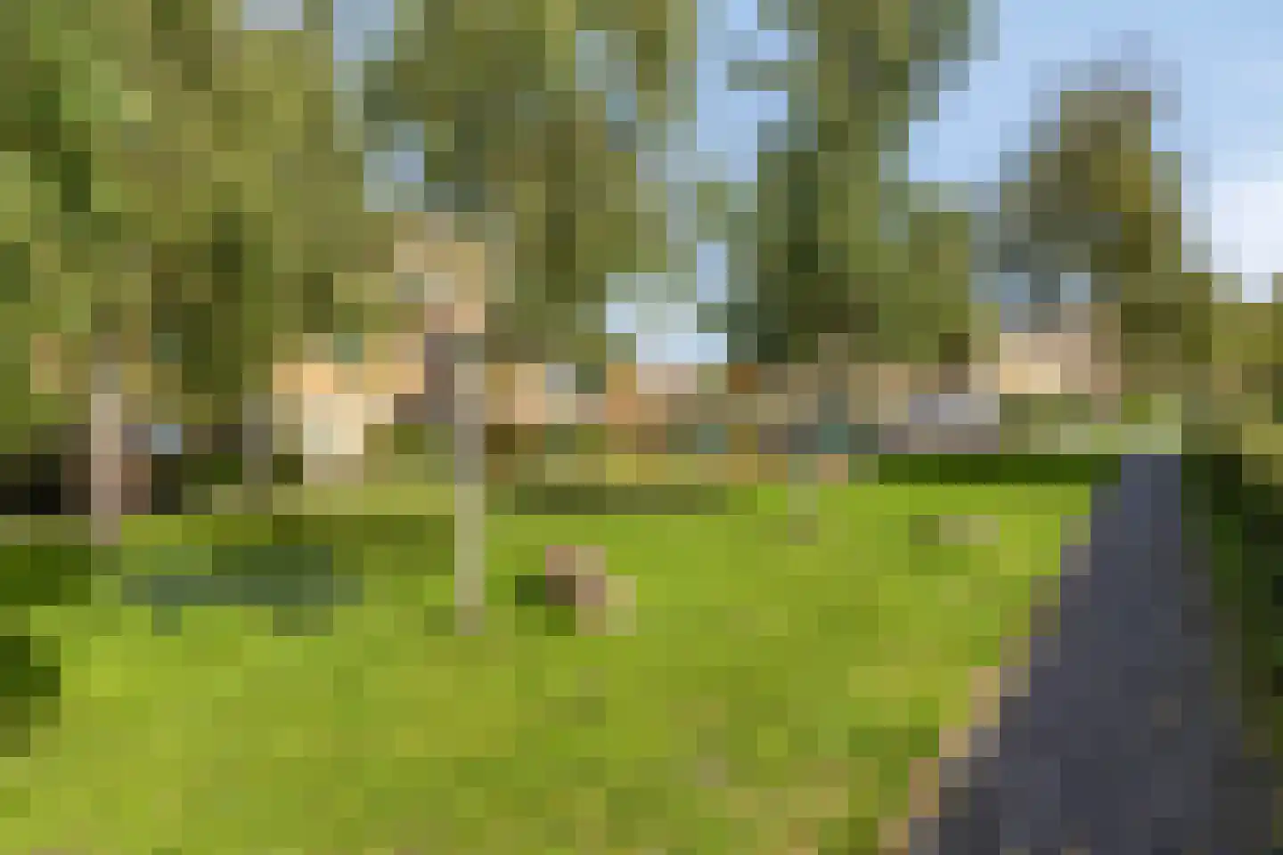 Het Oerd 107 Hoofddorp thumbnail 39