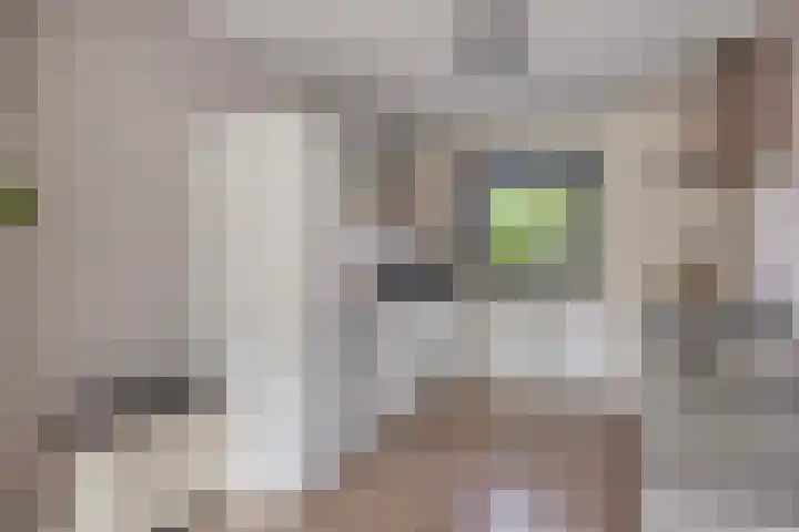 Het Oerd 18 Hoofddorp thumbnail 17