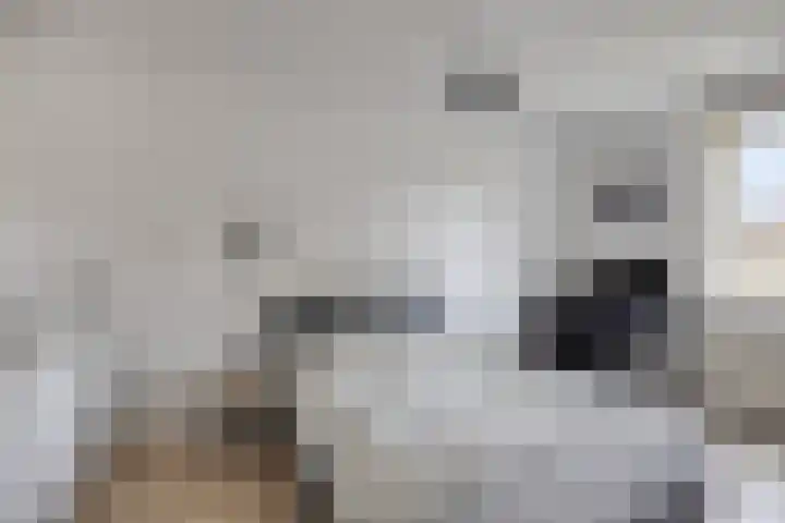 Het Oerd 18 Hoofddorp thumbnail 26