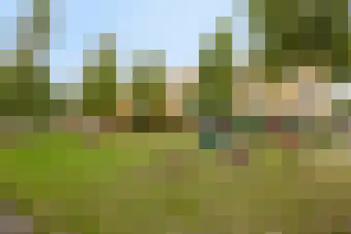Het Oerd 53 Hoofddorp thumbnail 34
